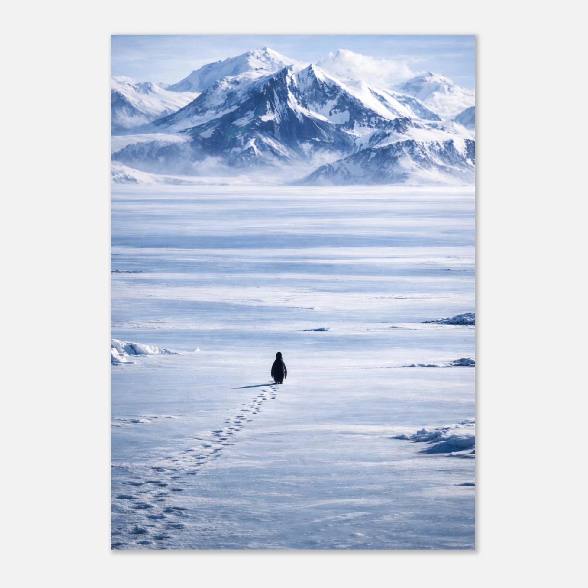 fc312764-1bf3-4ddb-9580-45a67395e772